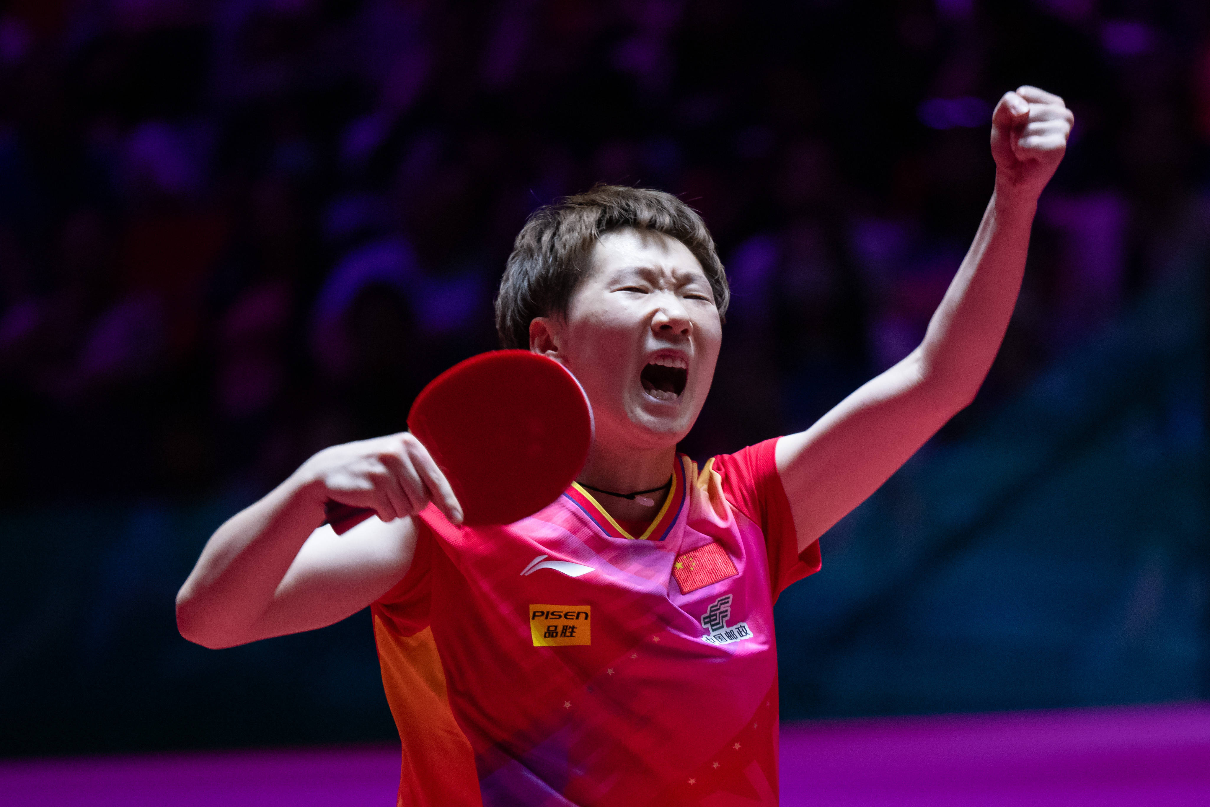 照与二创指 照与二创指